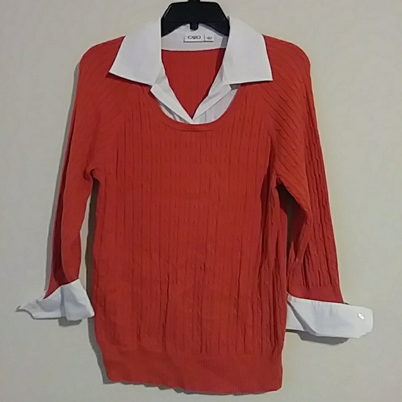 Cato - Picture 1 of 4